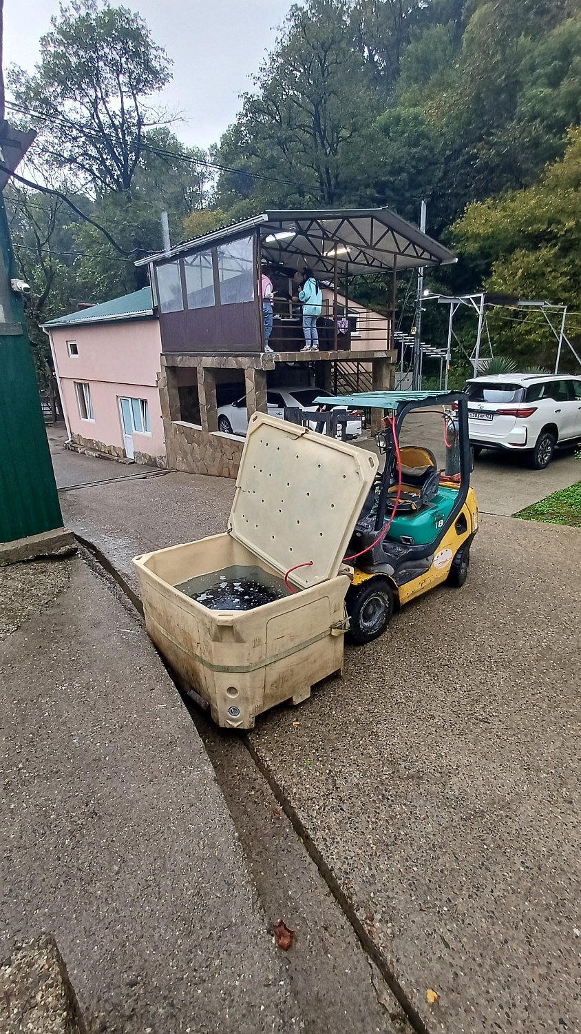 Выпуск мальков в рамках компенсационных мероприятий проекта в Новороссийске