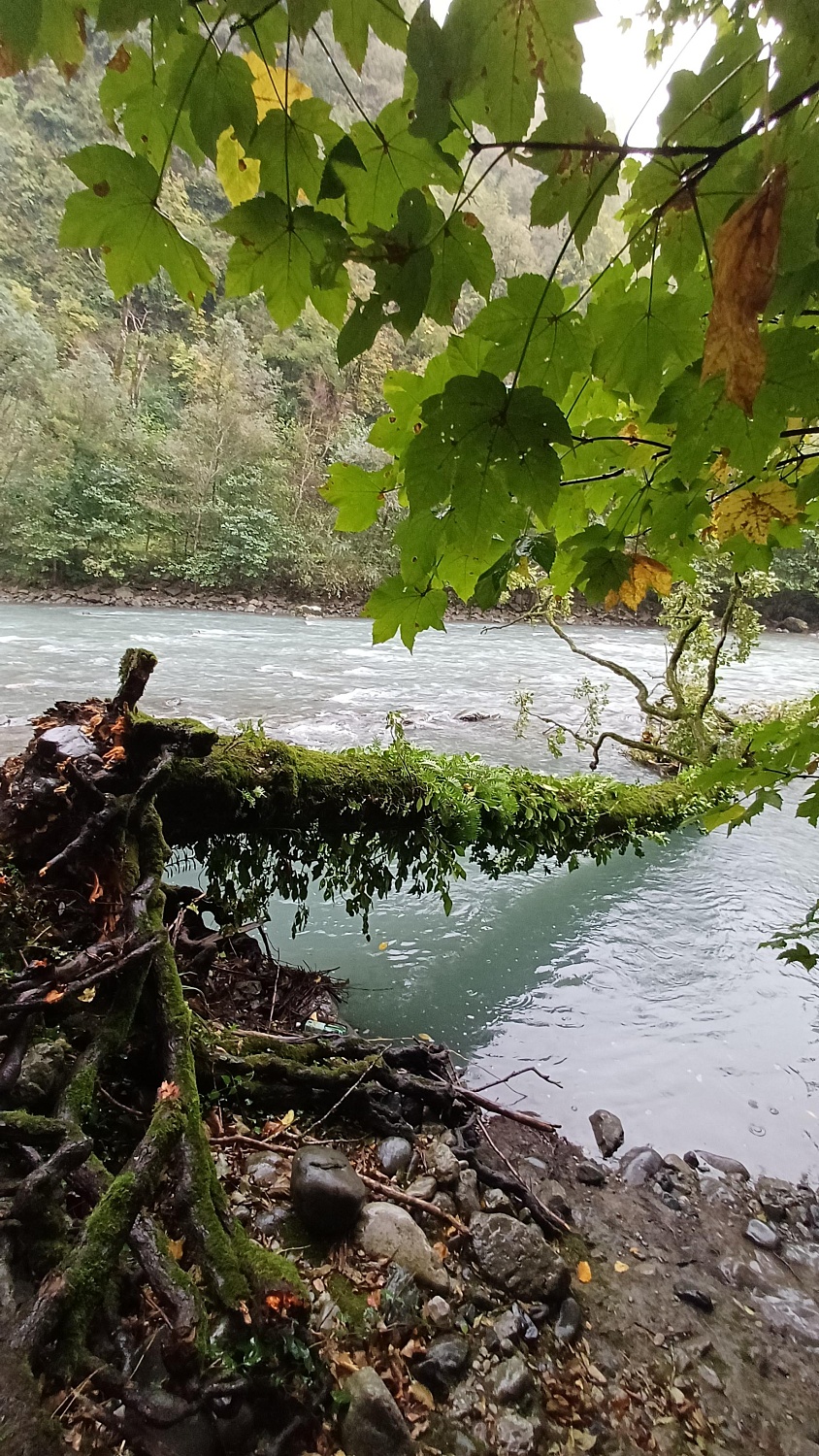 Выпуск мальков в рамках компенсационных мероприятий проекта в Новороссийске