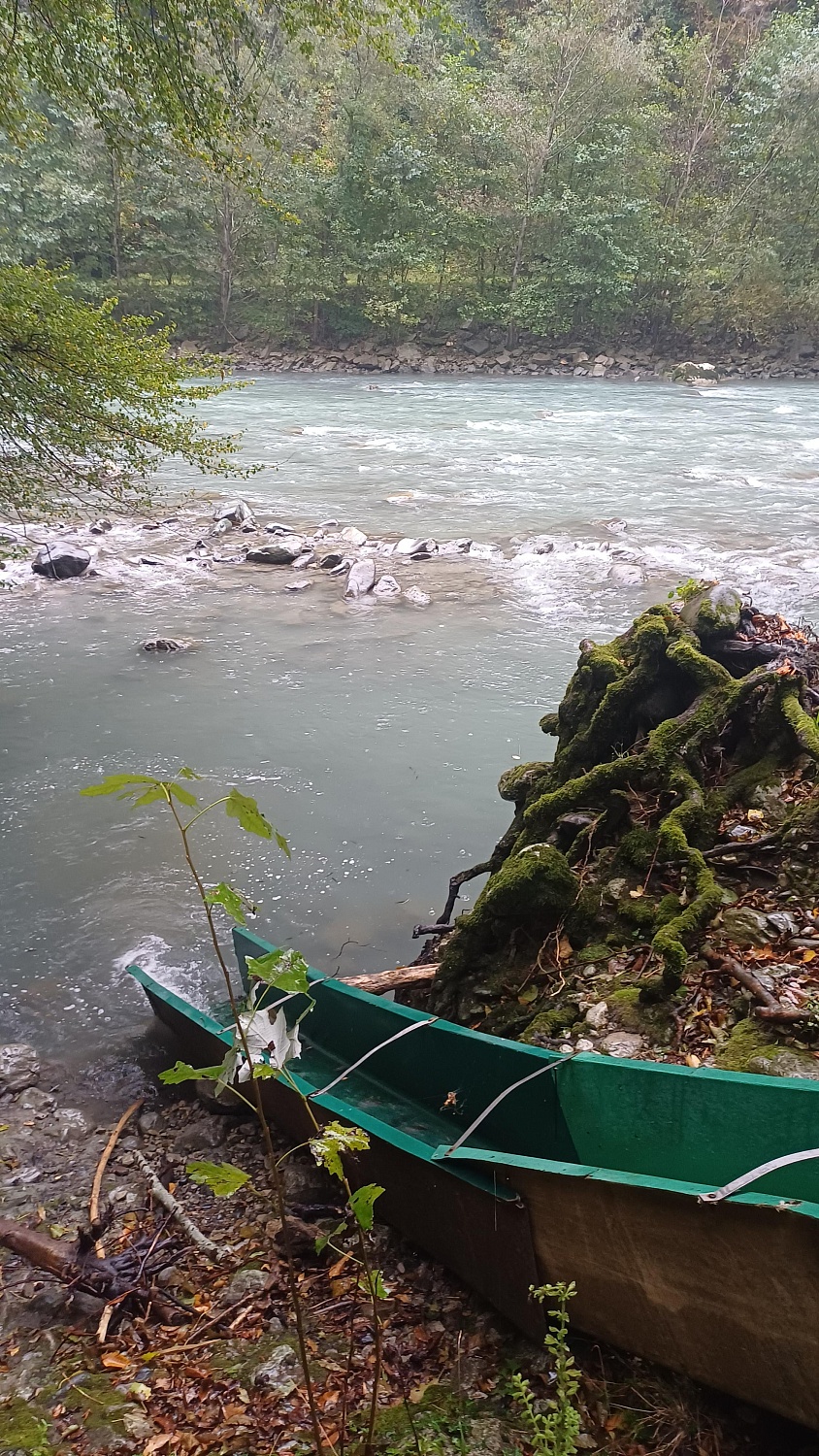 Выпуск мальков в рамках компенсационных мероприятий проекта в Новороссийске