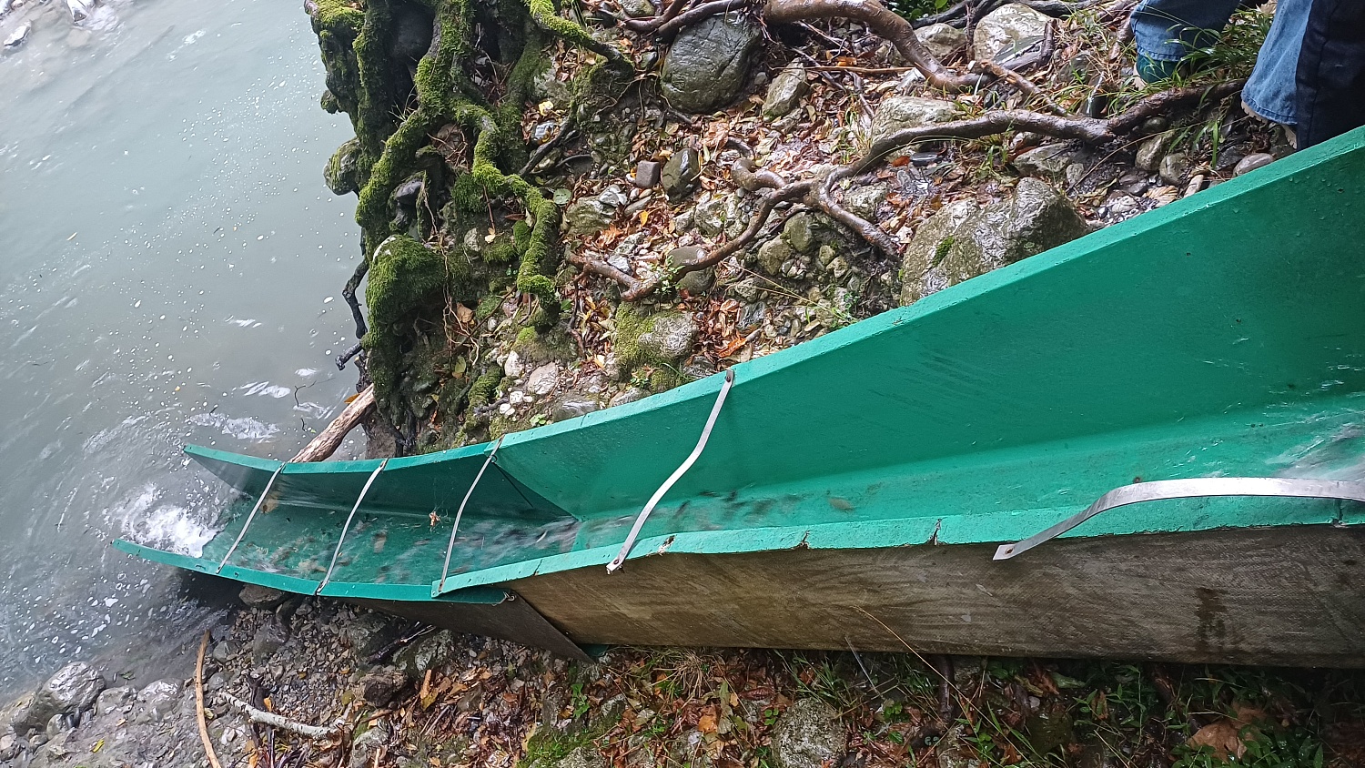 Выпуск мальков в рамках компенсационных мероприятий проекта в Новороссийске